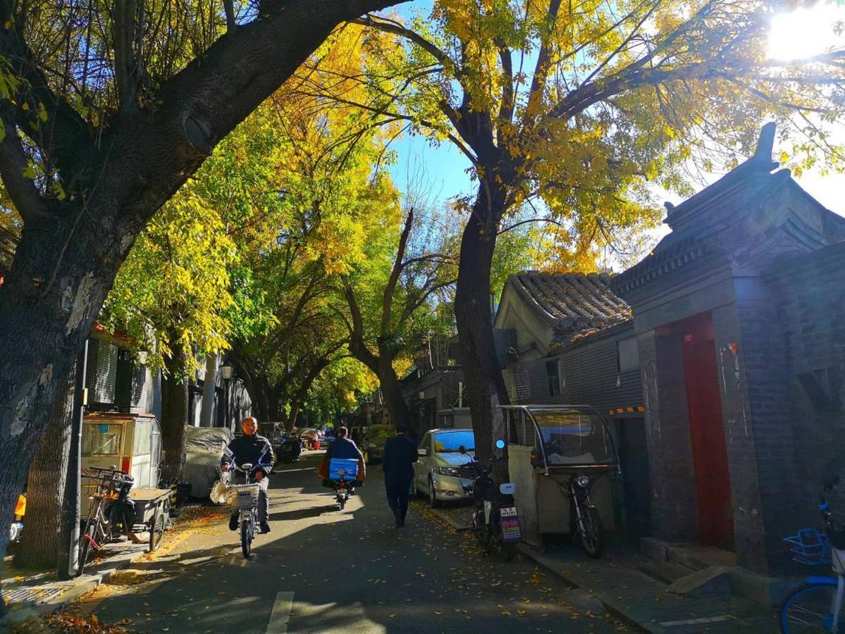 The East Hotel-very Close To The Drum Tower,the Temple,houhai Bar Street,and The Forbidden City,there Are Many Old Traditional Hutongs Around The ,experience The Culture Of Old Hutongs,near Exit A Of Shichahai On Metro Line 4*