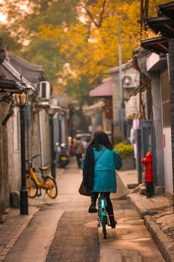 The East Hotel-very Close To The Drum Tower,the Temple,houhai Bar Street,and The Forbidden City,there Are Many Old Traditional Hutongs Around The ,experience The Culture Of Old Hutongs,near Exit A Of Shichahai On Metro Line Hotel 4*