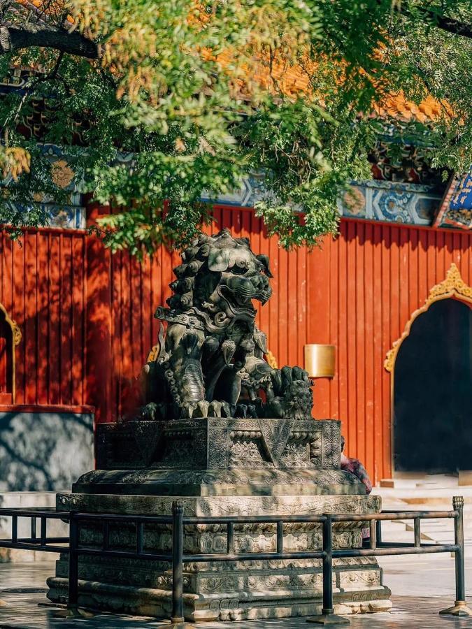 The East Hotel-very Close To The Drum Tower,the Temple,houhai Bar Street,and The Forbidden City,there Are Many Old Traditional Hutongs Around The ,experience The Culture Of Old Hutongs,near Exit A Of Shichahai On Metro Line Пекин