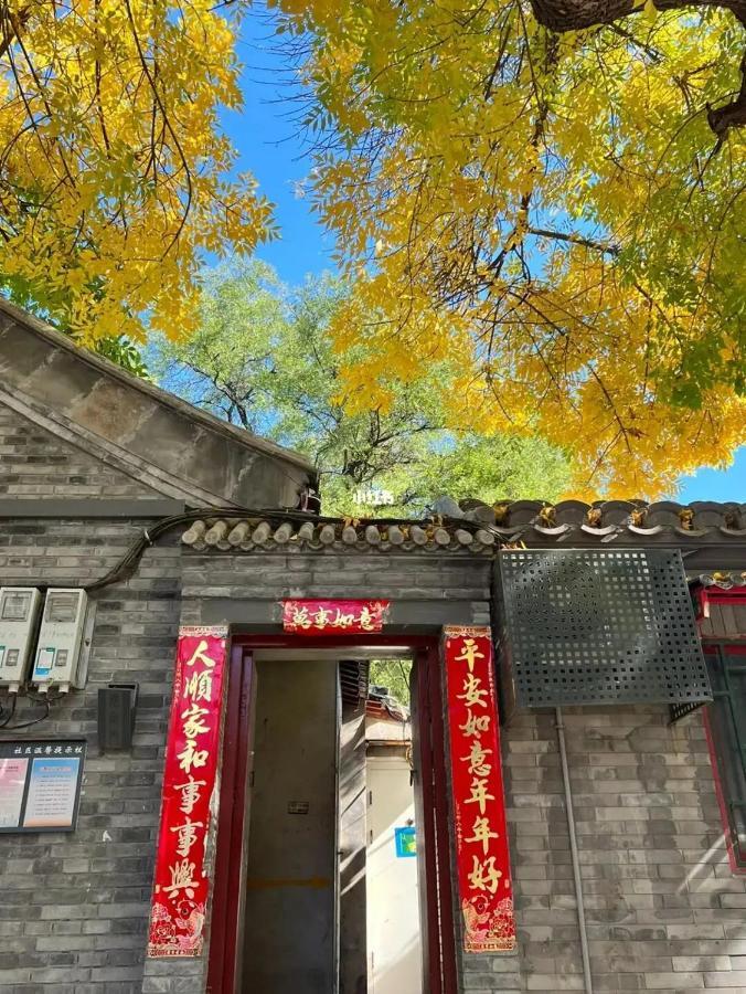 Отель The East Hotel-very Close To The Drum Tower,the Temple,houhai Bar Street,and The Forbidden City,there Are Many Old Traditional Hutongs Around The ,experience The Culture Of Old Hutongs,near Exit A Of Shichahai On Metro Line