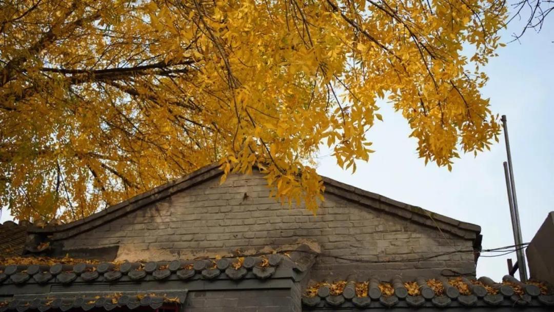 The East Hotel-very Close To The Drum Tower,the Temple,houhai Bar Street,and The Forbidden City,there Are Many Old Traditional Hutongs Around The ,experience The Culture Of Old Hutongs,near Exit A Of Shichahai On Metro Line Отель Пекин